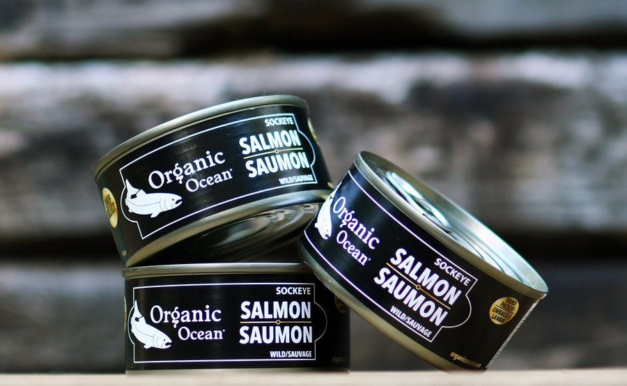 CANNED SALMON