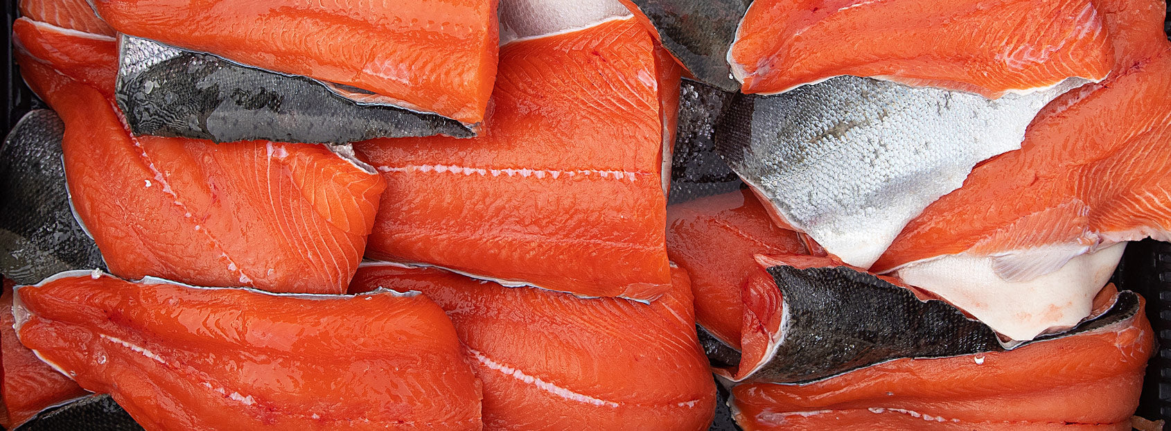 Barkley Sound Sockeye Has Arrived. Here's Why Seafood People Get Excited About It Every Year