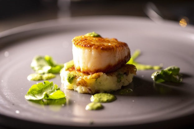 Why the World’s Most Discerning Chefs Choose Organic Ocean’s Hokkaido Scallops