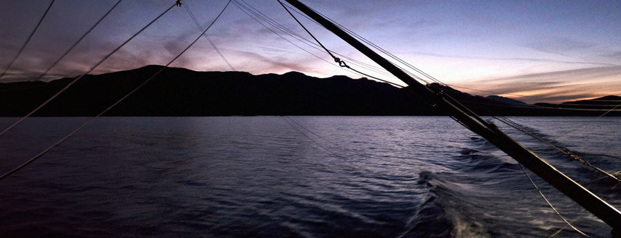 The Johnstone Strait Keta Salmon Run Is On: Fresh from the Carte Blanche
