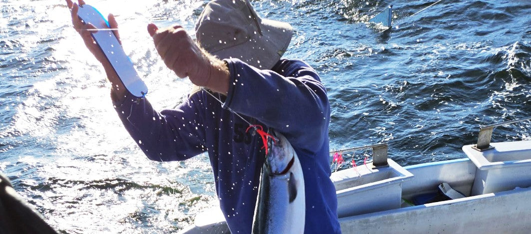 A Day on the Water: Trolling the Gulf for Sockeye, in the Name of Science