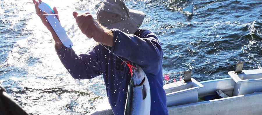 A Day on the Water: Trolling the Gulf for Sockeye, in the Name of Science