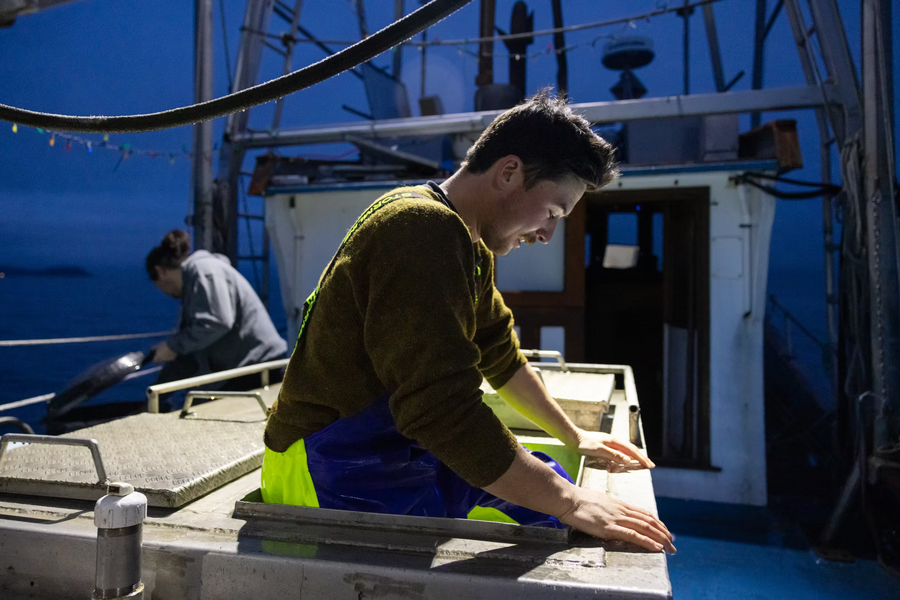 Lingcod Cheeks: What Happens When You Know the Fisherman