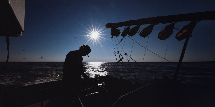 BC Sockeye Is Back. And This Year, the World Is Watching.