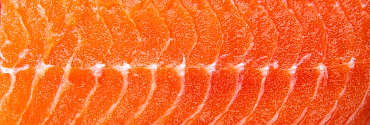Why Salmon Is Becoming One of the World’s Fastest Growing Proteins