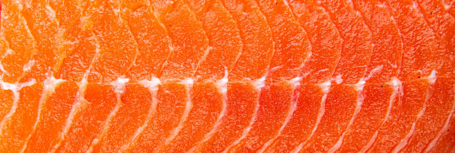 Why Salmon Is Becoming One of the World’s Fastest Growing Proteins