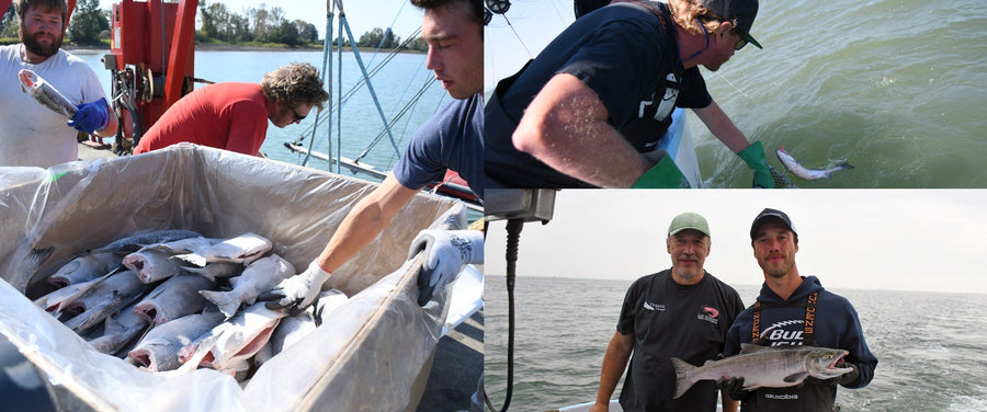 Holding the Line: Why Your Order Matters