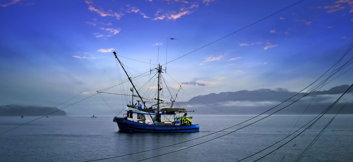 Fishing Adventure with Captain Dane and Deckhand Rob: A Harvest of Wild ...
