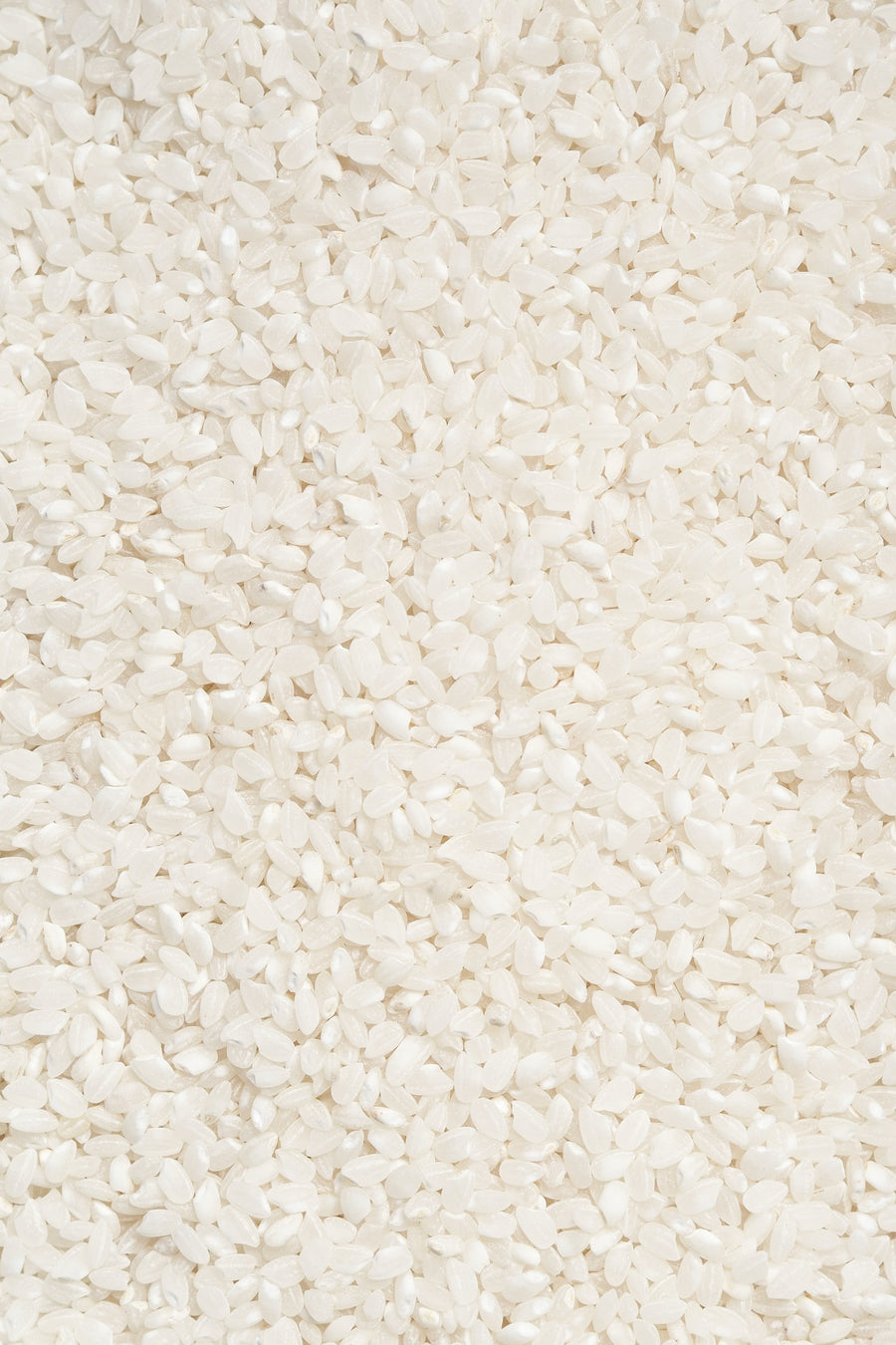 Sushi Rice at Home