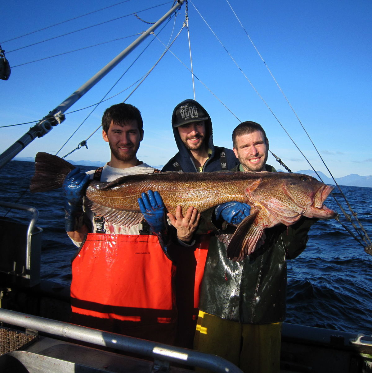 Wild BC Lingcod Portion — 6oz skin-on fillet, fishermen, artisanal, fishing