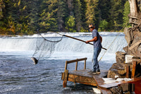 Gitanyow Sockeye Salmon Portion
