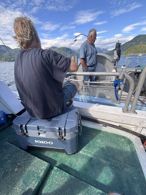 Nootka Sound Wild Chinook Salmon