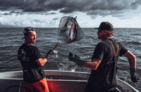 Wild Sockeye Salmon Fillet