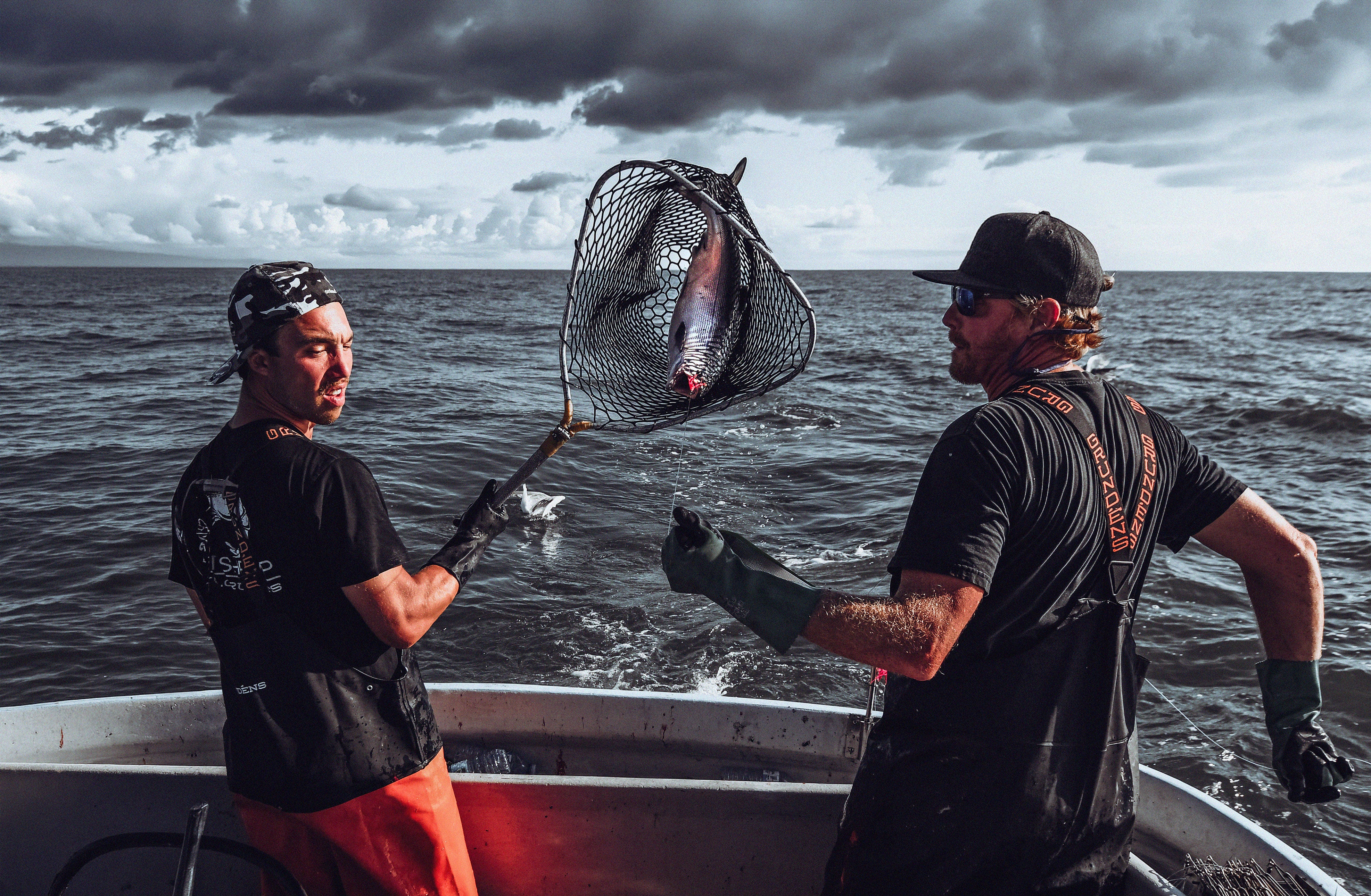 Wild Sockeye Salmon Fillet
