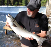 Wild BC Sockeye Salmon - 6oz portion, frozen, healthy, sustainable, chef
