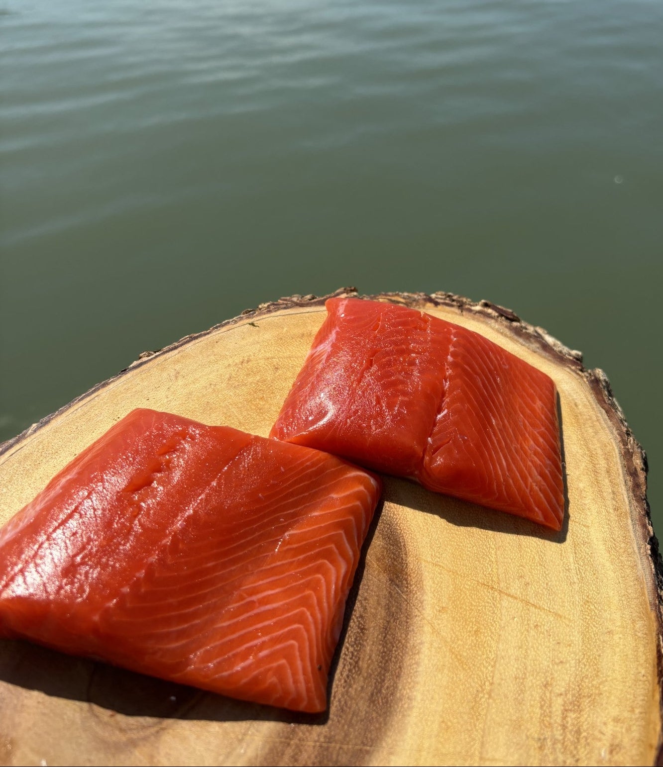 Barkley Sound Wild Sockeye Salmon