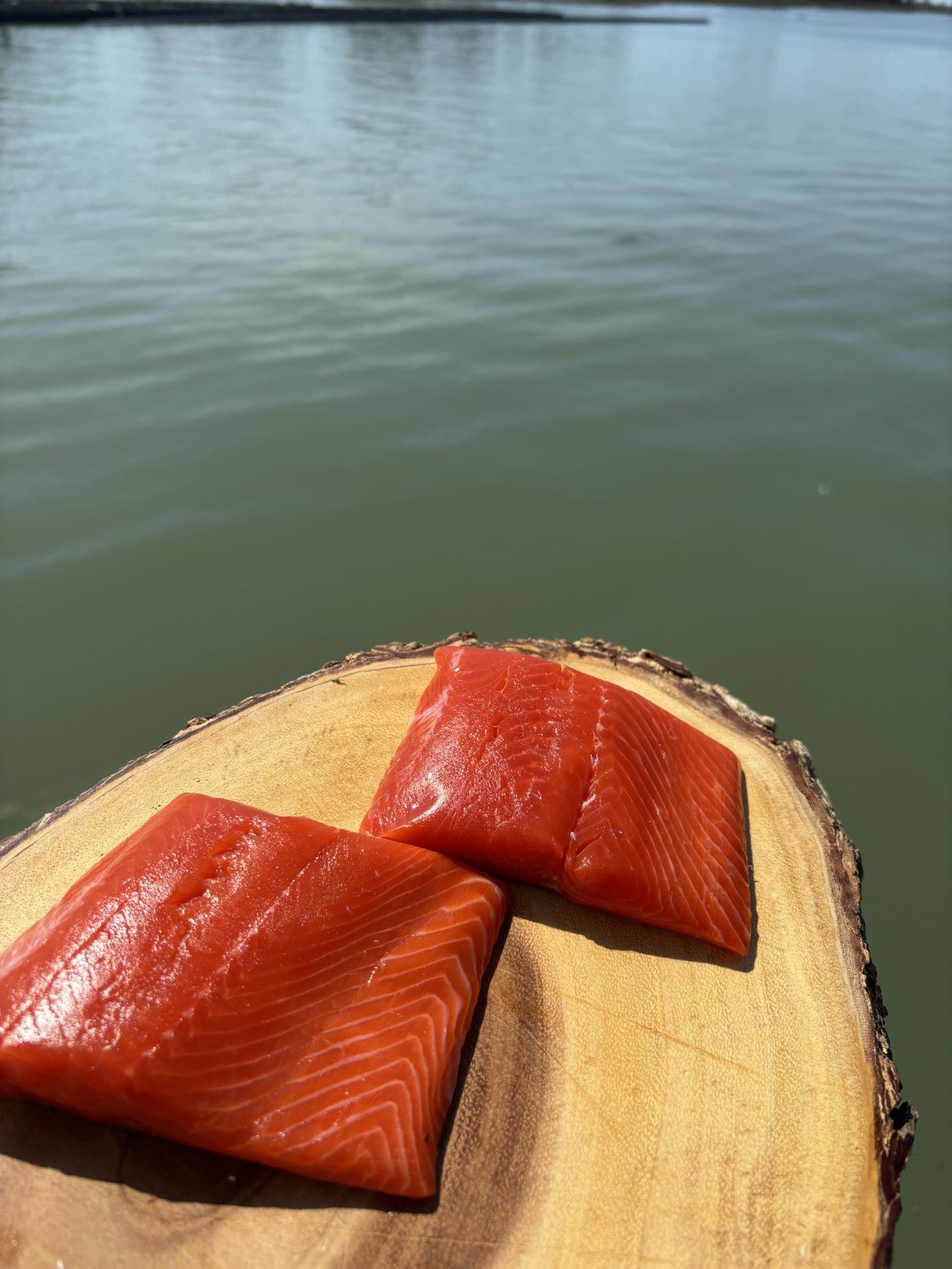 Wild Sockeye Salmon Portion