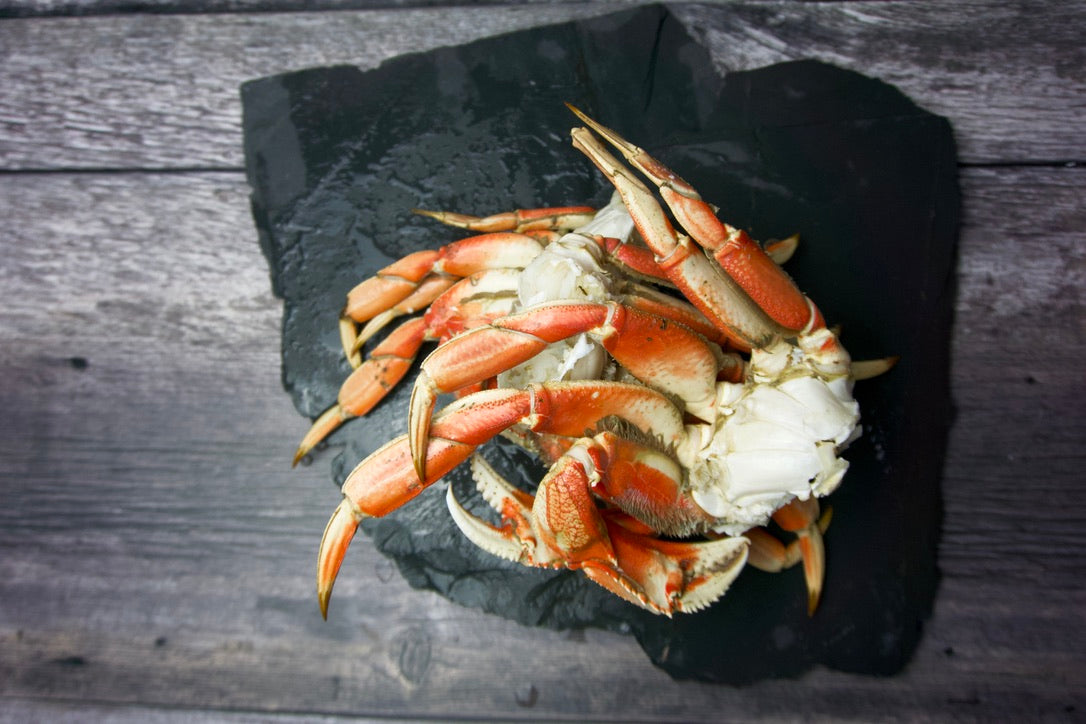 Wild Dungeness Crab