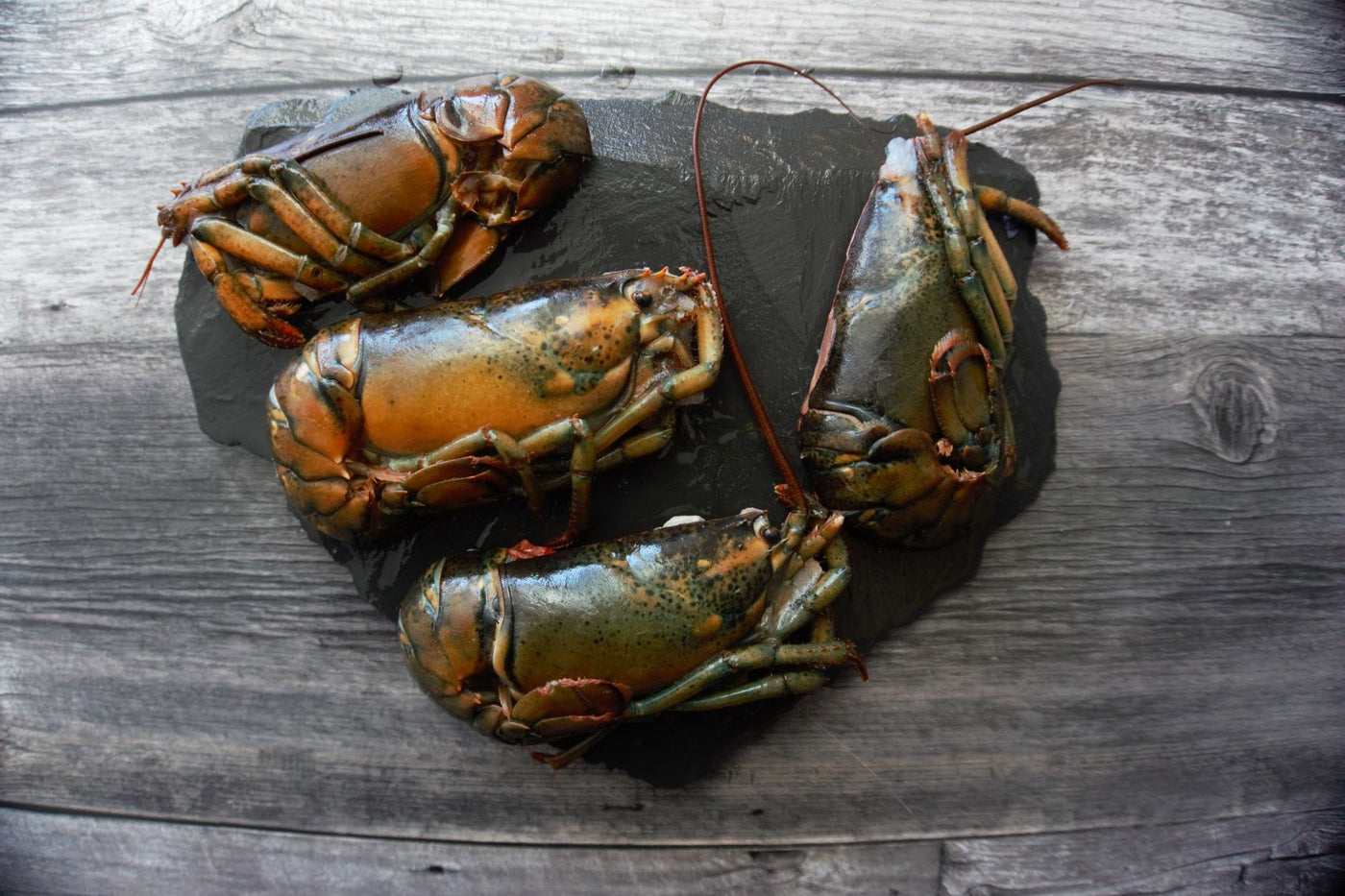 Wild Lobster Split