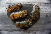 Wild Lobster Split