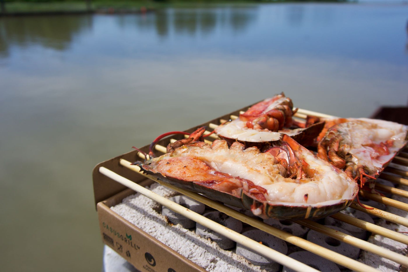 Wild Lobster Split