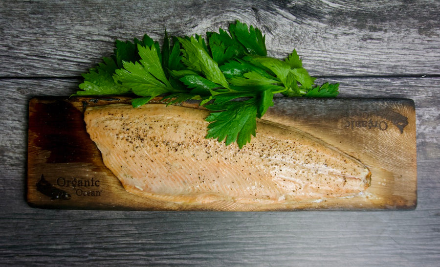 Wild BC Pink Salmon - Fillet, plank, grilled, healthy