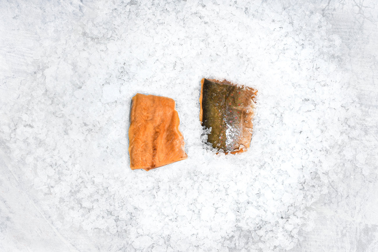 Arctic Char Portion