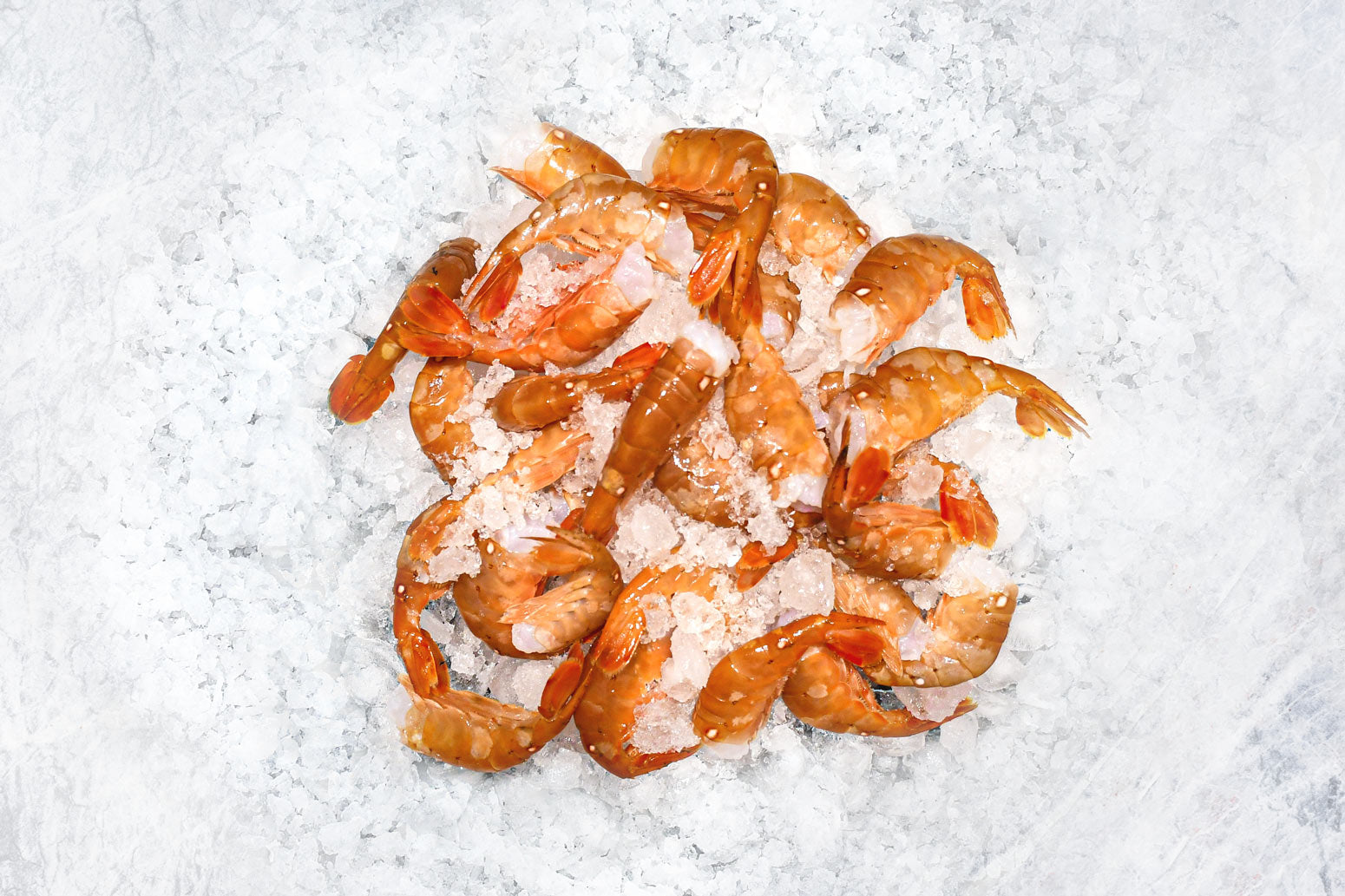 Wild BC Spot Prawn Tails