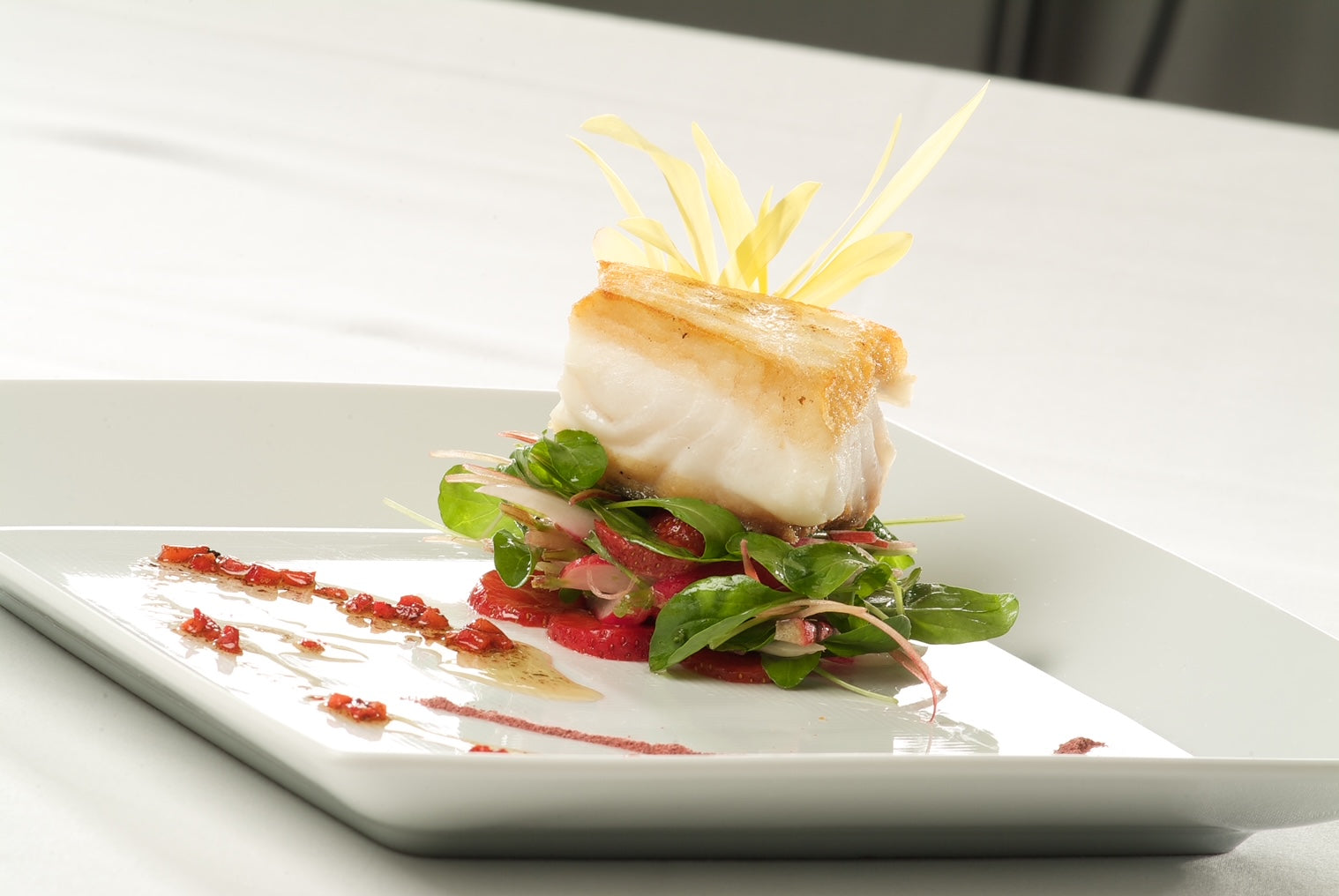 Wild Halibut Portion