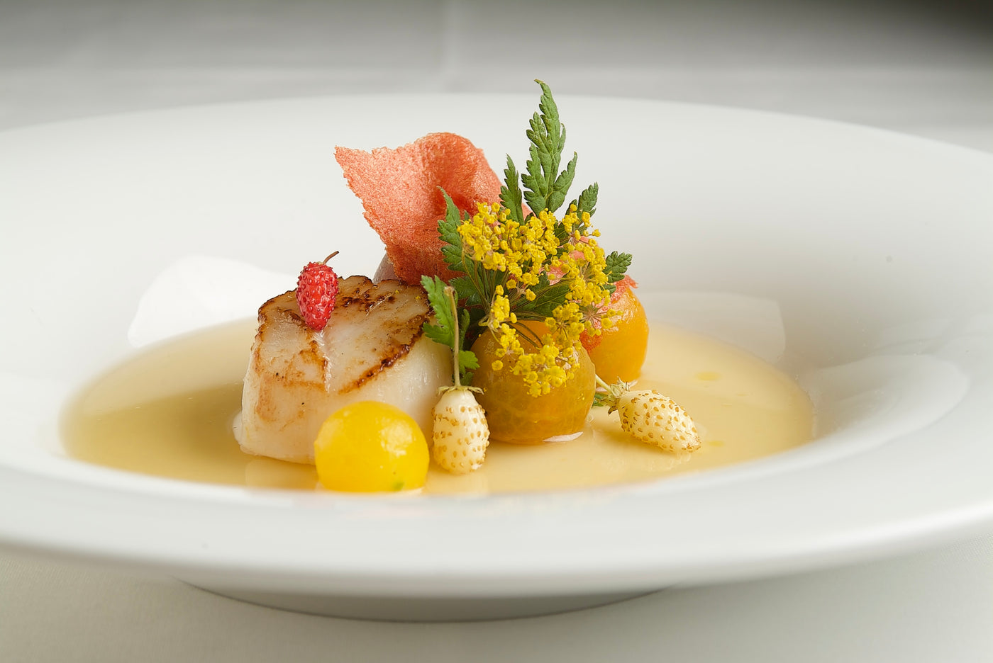 Hokkaido Scallops