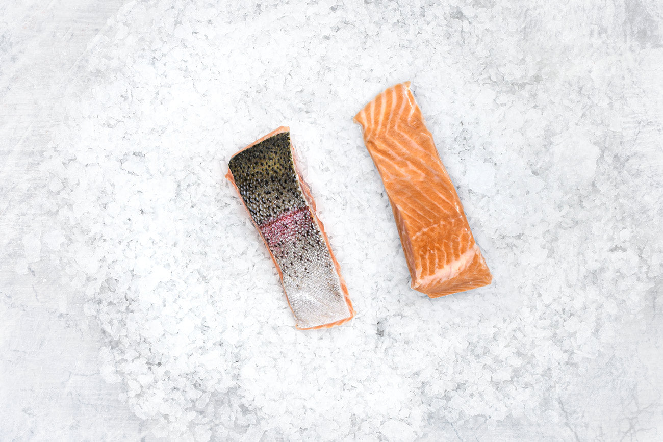 Steelhead Portion - sustainable, healthy, delicious, cultured