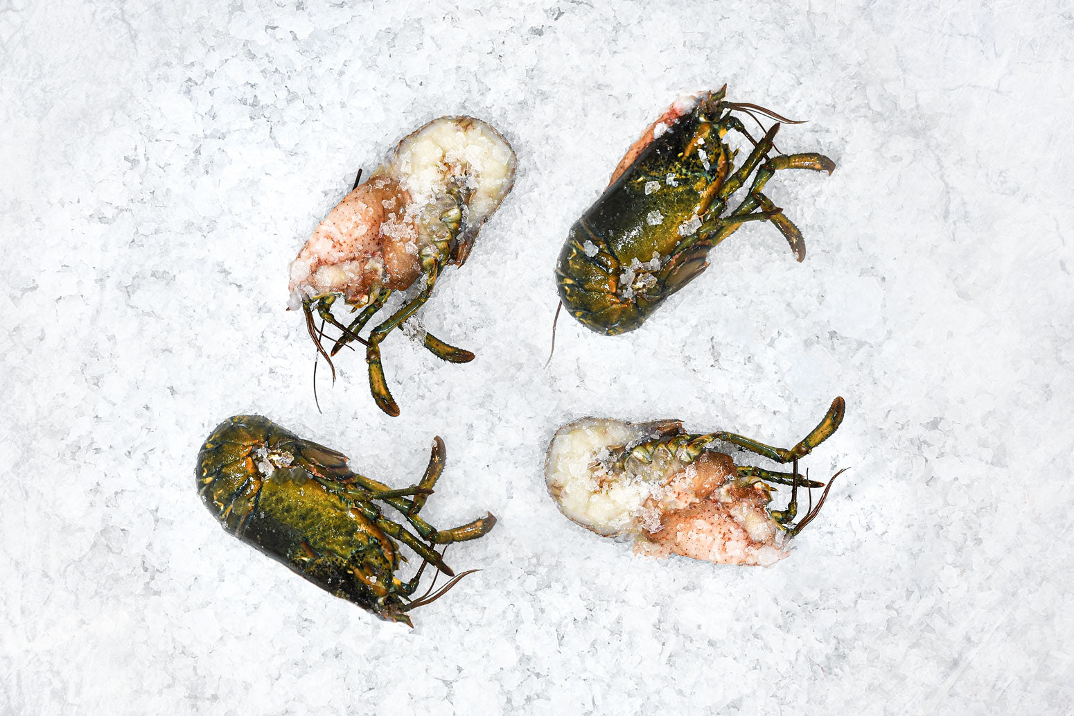 Wild Lobster Split