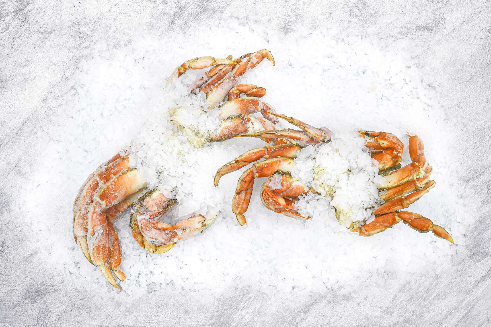 Wild Dungeness Crab