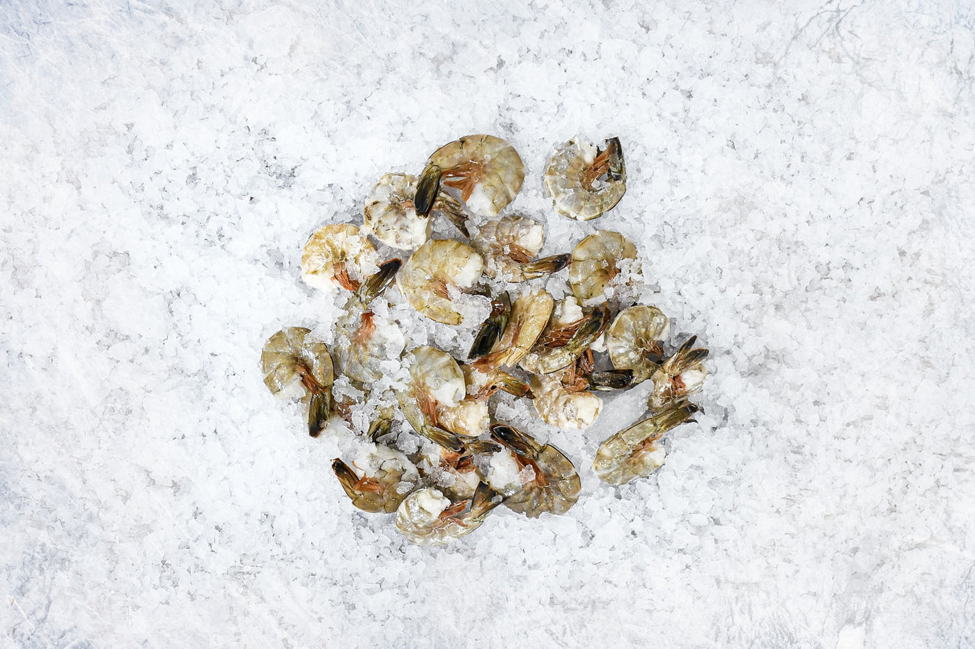 Wild Blue Shrimp