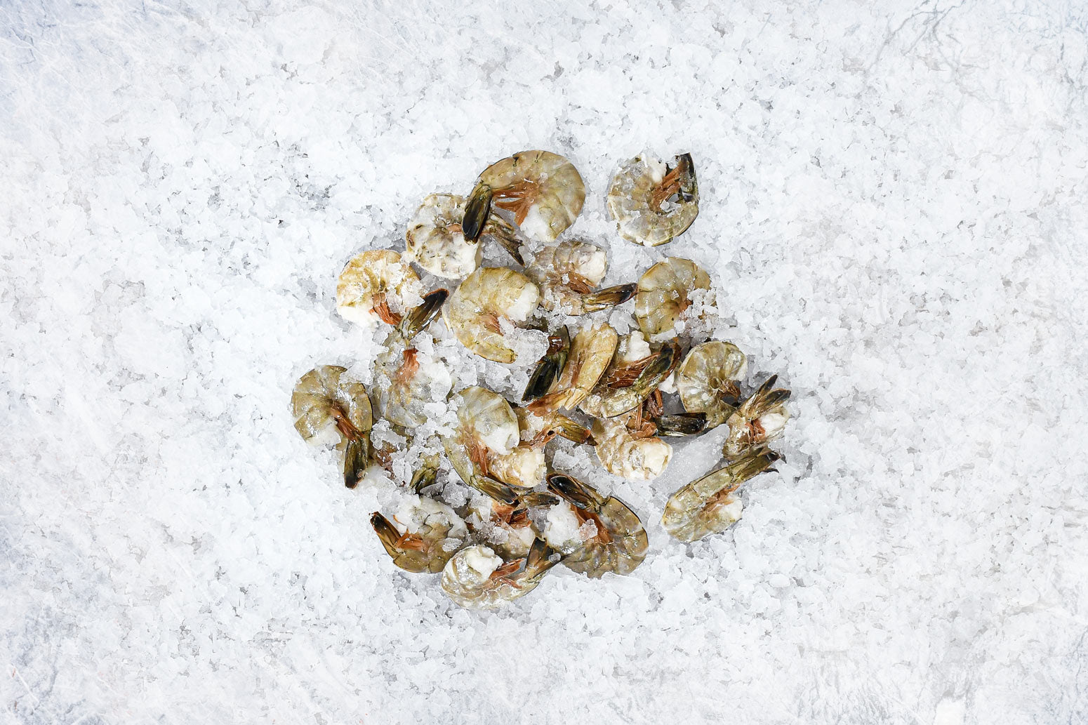 Wild Blue Shrimp